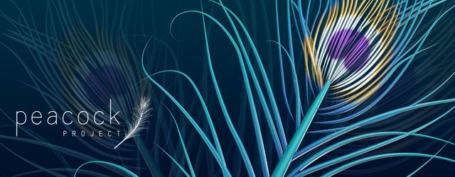 Peacock Banner